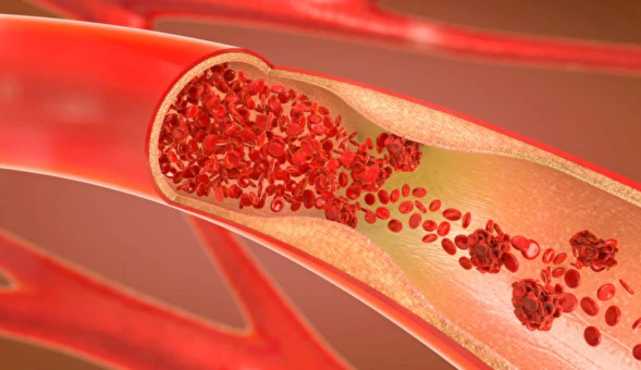 product-1-1 blood vessels