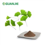Polvo de extracto de ginkgo biloba