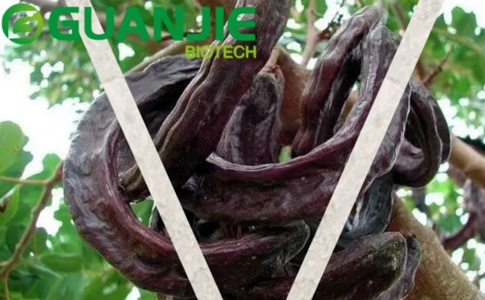 Carob seed extract D-Pinitol Carob seed extract D-Pinitol